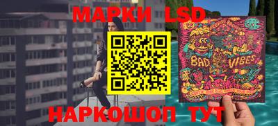 apvp Славгород