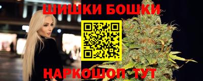 apvp Славгород