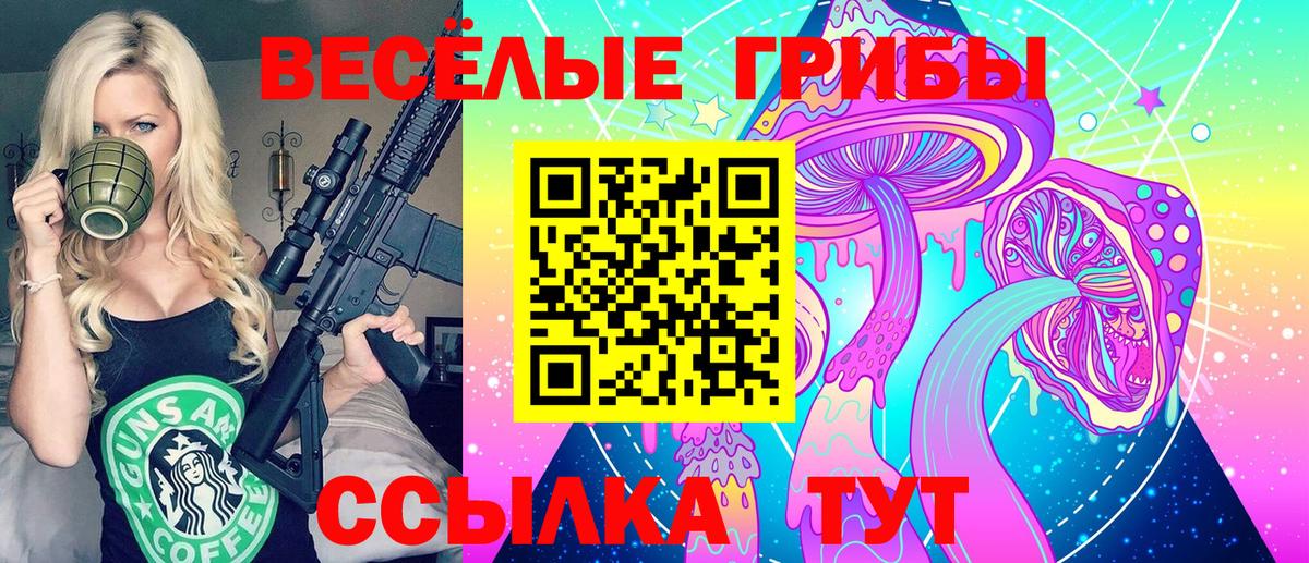 Псилоцибиновые грибы GOLDEN TEACHER Миллерово